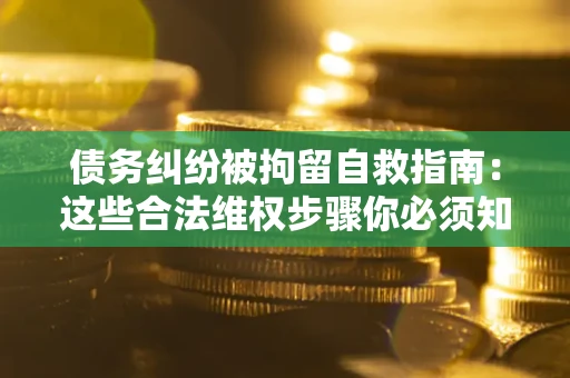 北京债务纠纷被拘留自救指南：这些合法维权步骤你必须知道！