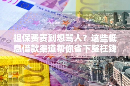 北京担保费贵到想骂人？这些低息借款渠道帮你省下冤枉钱
