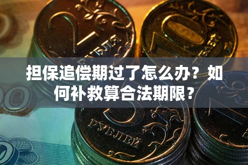 北京担保追偿期过了怎么办？如何补救算合法期限？