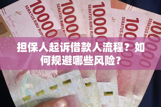 北京担保人起诉借款人流程？如何规避哪些风险？