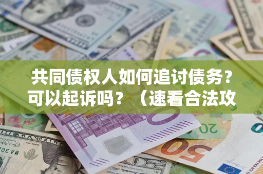 北京共同债权人如何追讨债务？可以起诉吗？（速看合法攻略）