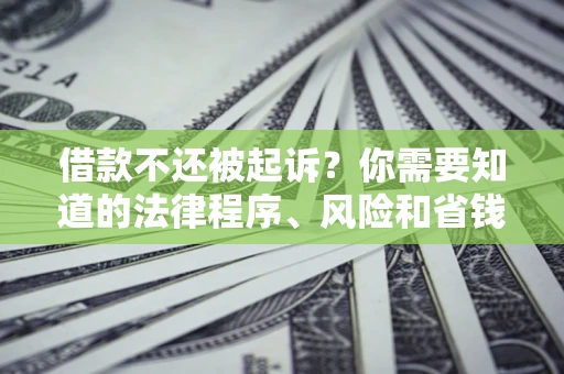 北京借款不还被起诉？你需要知道的法律程序、风险和省钱技巧