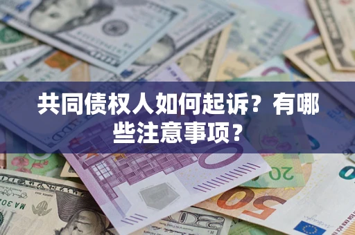 北京共同债权人如何起诉？有哪些注意事项？